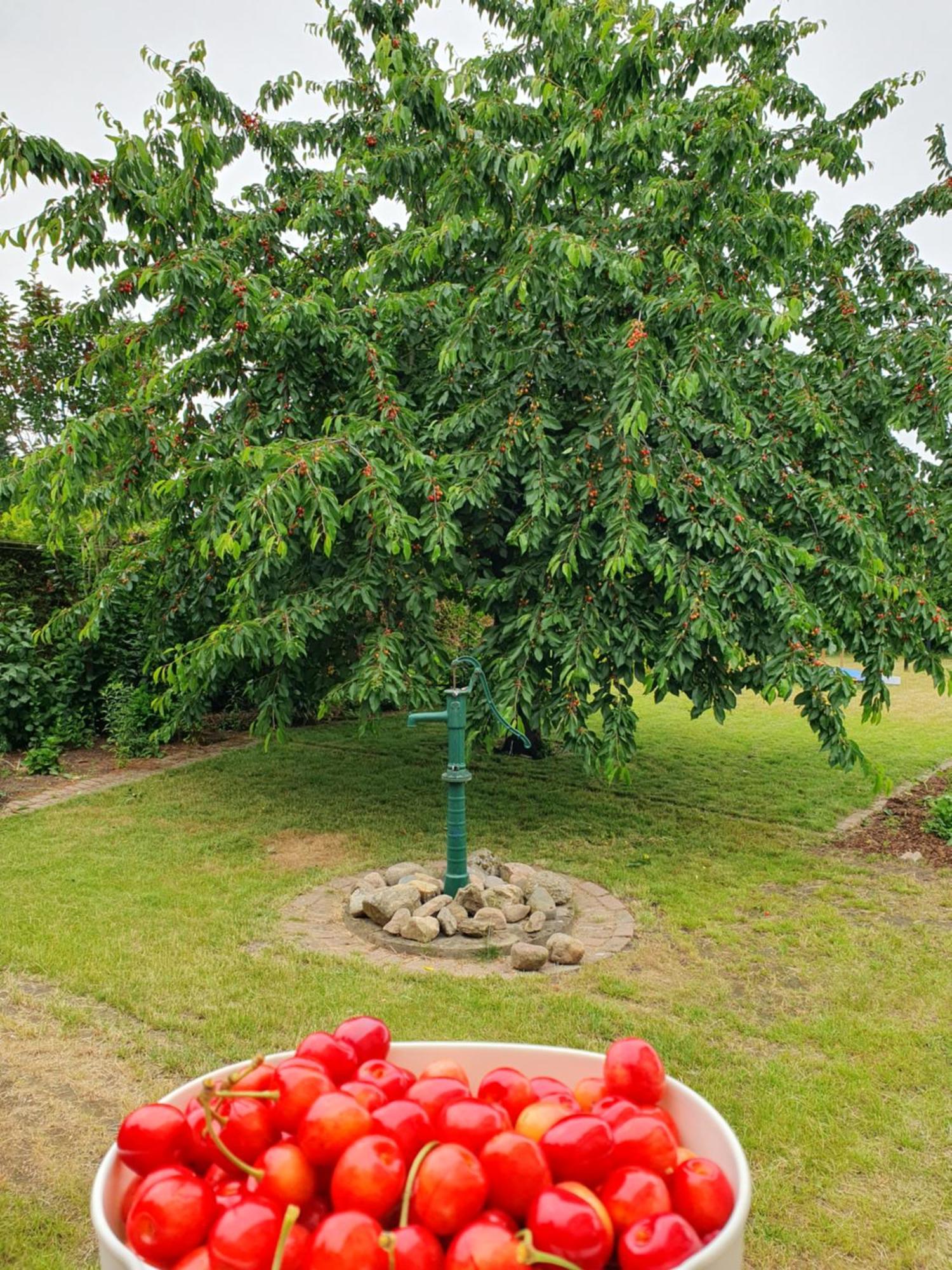 Neumuehler Hof Ferienwohnung "Stefan" Bietet 4 Schlafzimmer Und 4 Baeder , Eine Grosse Badewanne Und Grosser Terrasse Zum Garten, Kostenfreie Parkmoeglichkeiten Schwerin  Extérieur photo